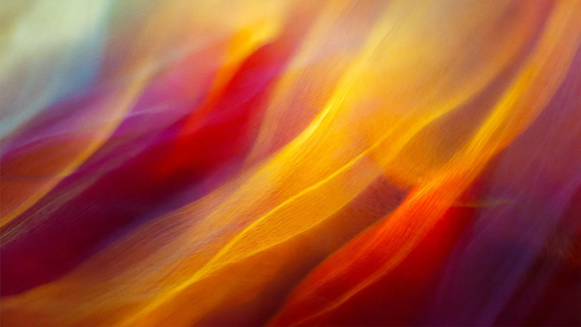 Título de la imagen