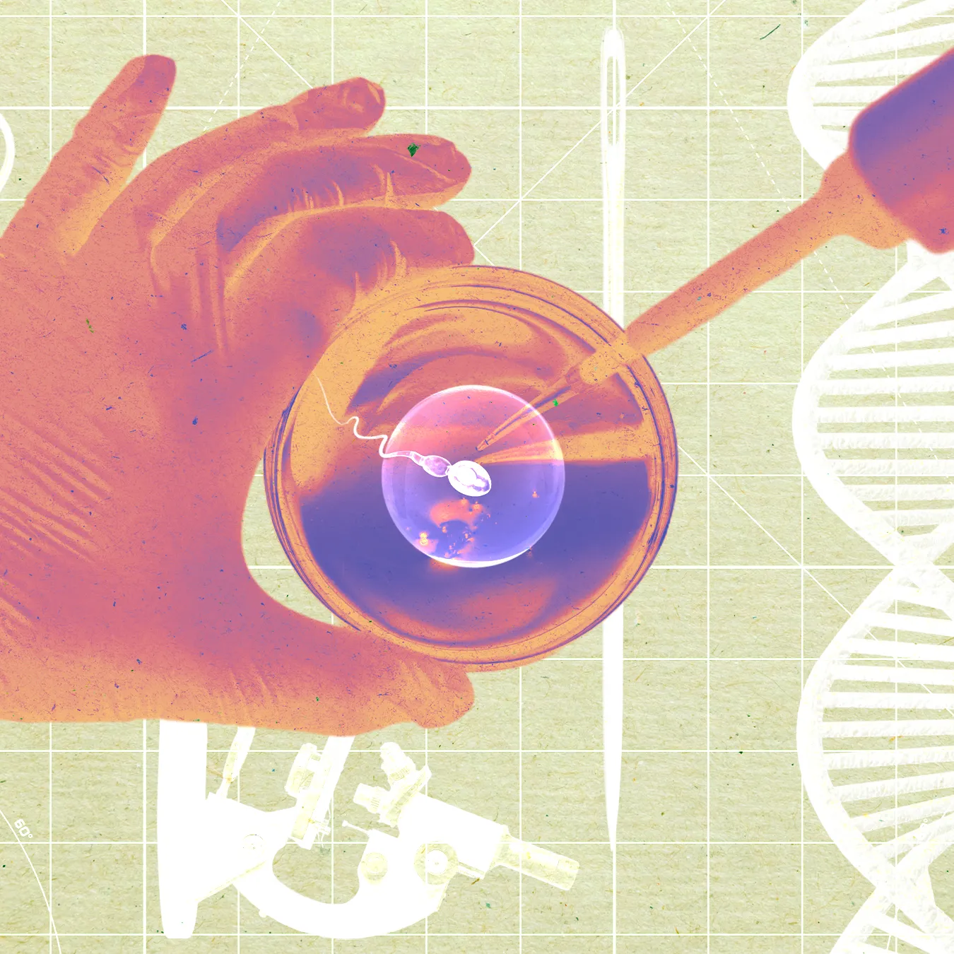Laboratorio de fertilidad