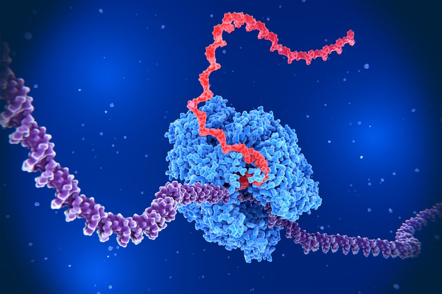 Circuitos genéticos sintéticos ADN MIT