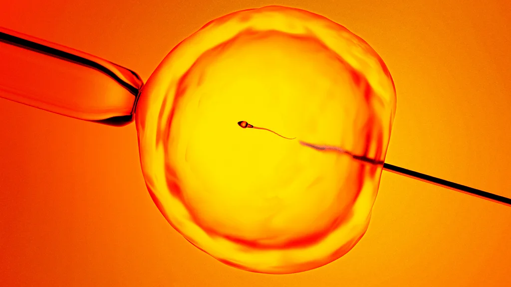 Tecnología de fertilidad masculina biotecnología