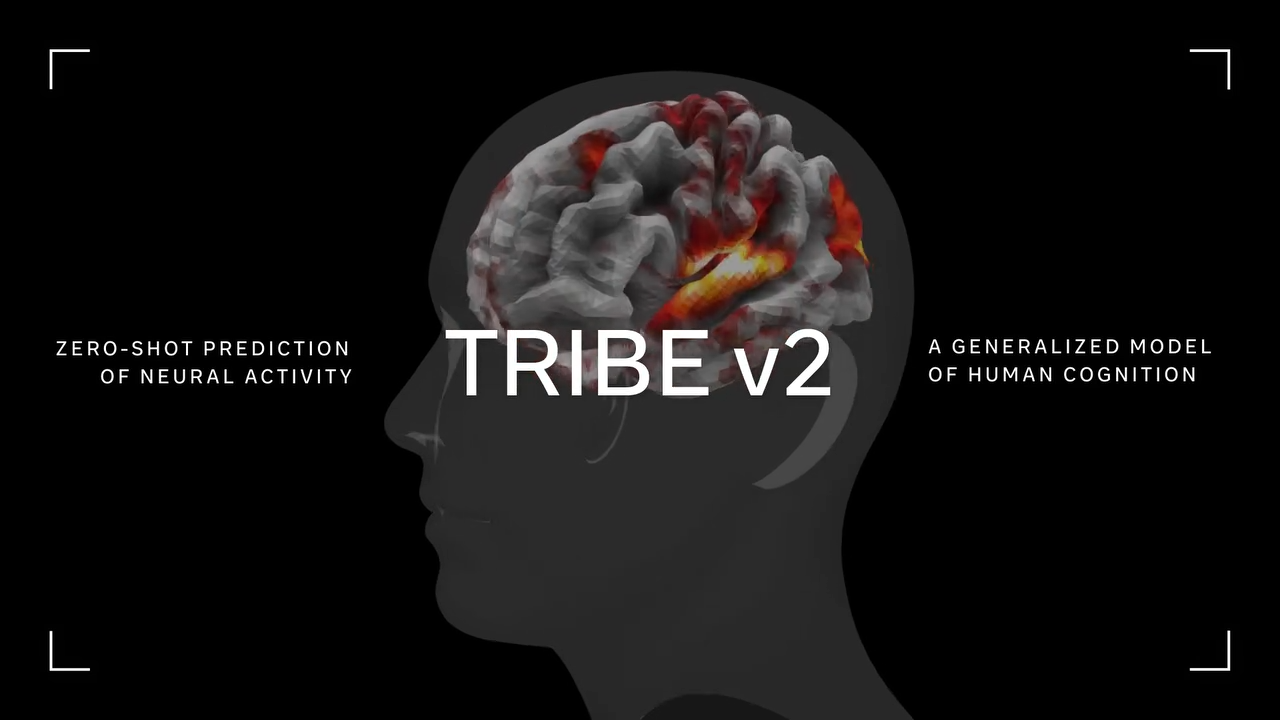 Meta TRIBE v2, gemelo digital del cerebro humano